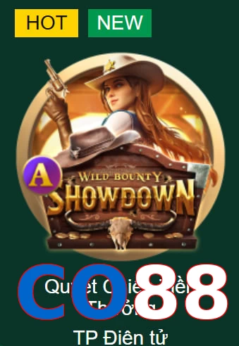 CO88